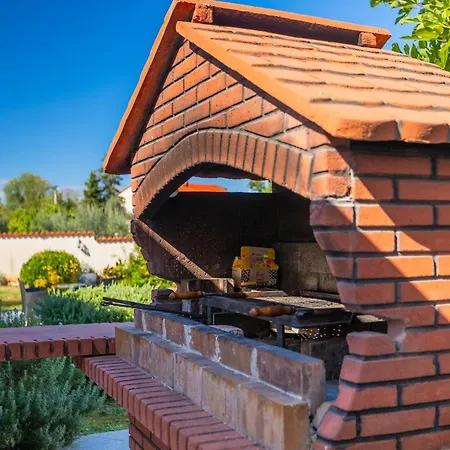 Viola ヴィラ クルニカ