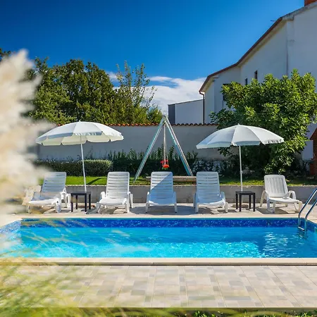 Viola * クルニカ