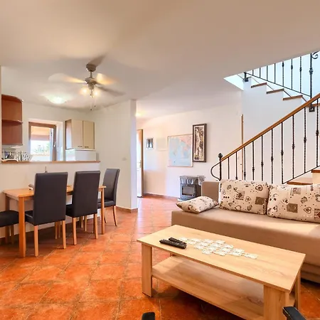 Viola فيلة كرينكا