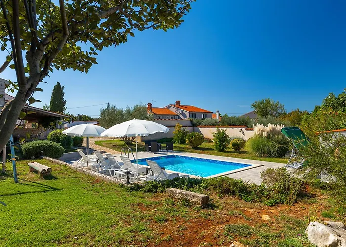 Viola * 크르니카