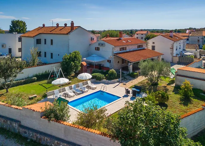 Viola * 크르니카