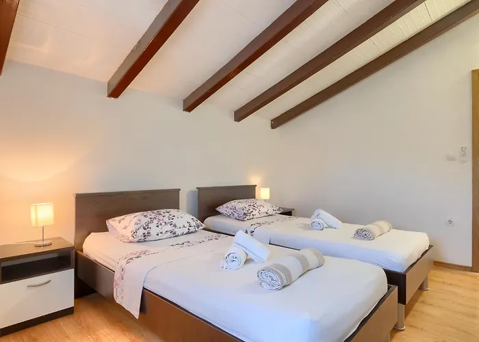 Viola * 크르니카