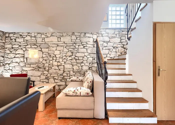 Viola * 크르니카